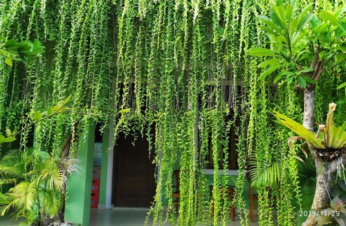 Kuta House | PURNAMA HOUSE KUTA