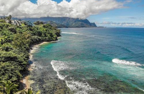 Princeville Apartment | Puu Poa
