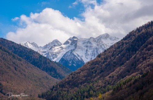 Bagneres-de-Luchon Apartment | Pyrénées Palace