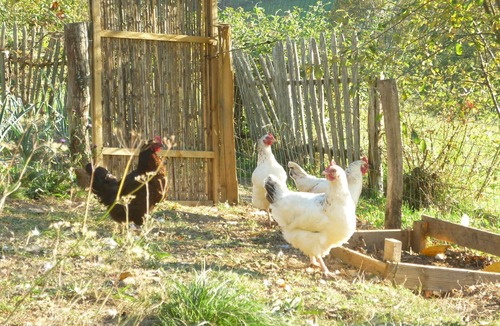 Lies Cottage | Pyrenees-Nature Cottage (2/3pers) and Meditation Workshop