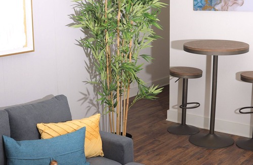 Peak's Suburban Addition Apartment | Quaint and Cozy