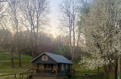 Springdale Cabin | Quaint cabin in foothills of the Ozarks - quick access to Fayetteville and NWA!
