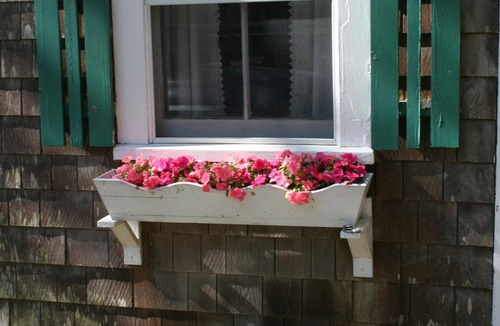 Wellfleet Cottage | Quaint Cottage with Water View