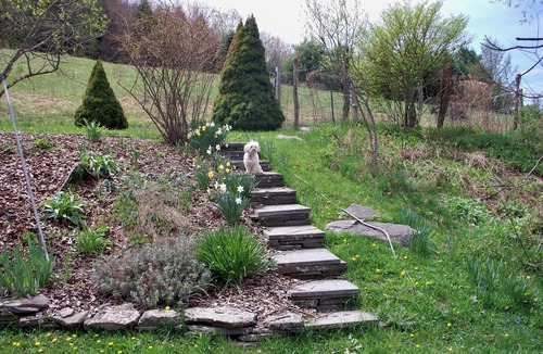 Damascus House | Quaint Country Farm House On 20 Acres, 25 minutes to Bethel Woods (Woodstock)!