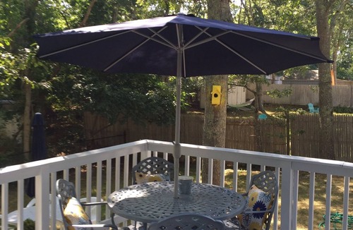 East Falmouth House | Quaint Cozy Beach Cape Escape