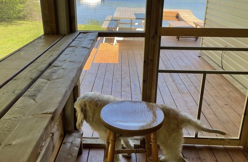 Trent Lakes Cottage | Quaint, Quiet Cottage with Cozy Bunkhouses