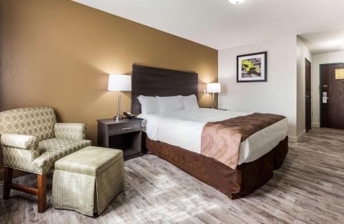 Clare Hotel | Quality Inn Clare