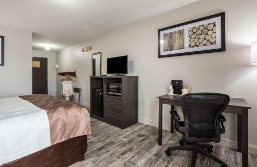 Clare Hotel | Quality Inn Clare