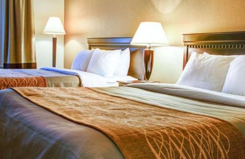 Florence Hotel | Quality Inn Florence