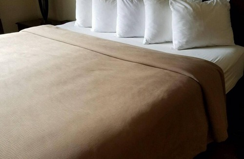 Florence Hotel | Quality Inn Florence