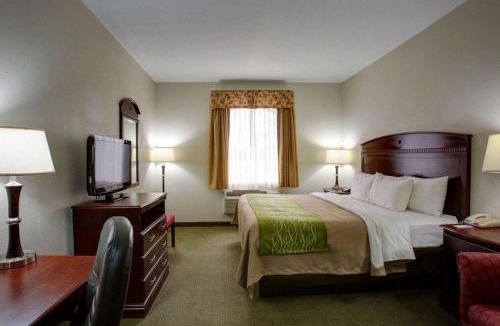 Rockdale Hotel | Quality Inn Rockdale
