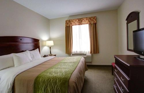 Rockdale Hotel | Quality Inn Rockdale
