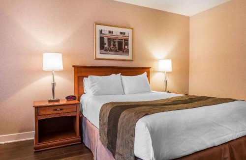 Hawkesbury Hotel | Quality Inn & Suites