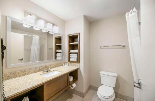 Carlsbad Hotel | Quality Inn & Suites Carlsbad Caverns Area