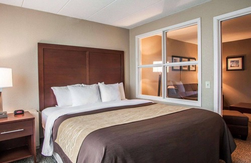 Orland Hills Hotel | Quality Inn & Suites Orland Park - Chicago