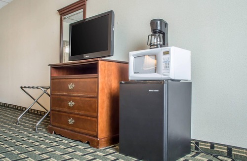 Batavia Hotel | Quality Inn & Suites Palm Island Indoor Waterpark