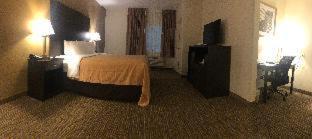 Paragould Hotel | Quality Inn & Suites Paragould