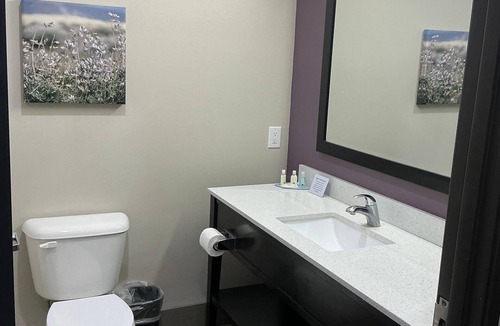 Colorado City Hotel | Quality Inn & Suites Colorado City, TX