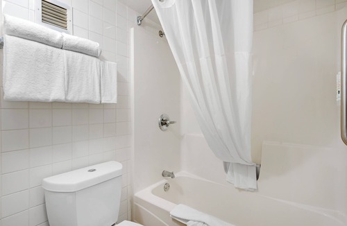 New Port Richey Hotel | Quality Inn & Suites Conference Center