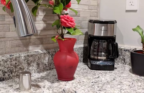 Somerset Apartment | Quality Luxury Apartment With Killer View & Double Studio