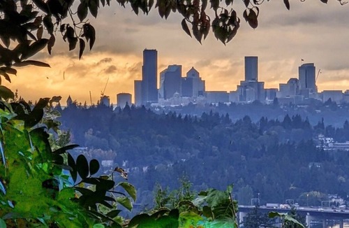 Somerset Apartment | Quality Luxury Apartment With Killer View & Double Studio