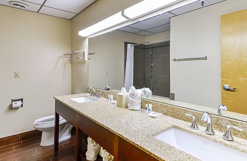 Lubbock Hotel | Quality Suites Lubbock Southwest
