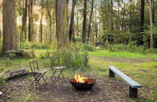 Toolangi House | Quantum Field by Tiny Away