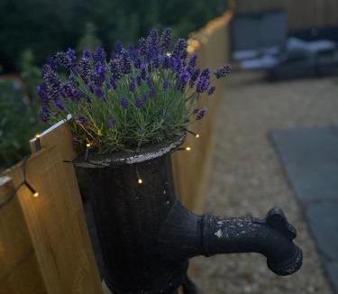 Winterbourne House | Quarry Barton Escape