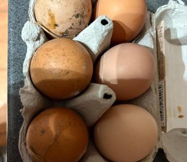 Winterbourne House | Quarry Barton Escape