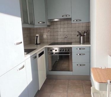 Quartino Apartment | Quartino - Appartamento Rivamonte