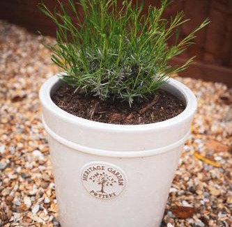 Appledram House | Quay Quarters