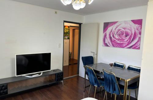 Lucerne Apartment | Queen Home
