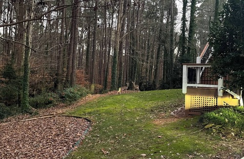 Northwest Raleigh Apartment | Queen studio - 15 mins. from airport