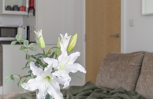 Redhill Apartment | Queens Lodge, Redhill