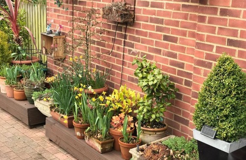 Winchester House | Queens Road Rental - Winchester Accommodation