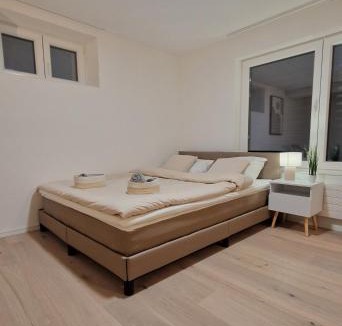 St. Gallen Apartment | Queensize-Bett, Arbeitsplatz, gratis Parkplatz