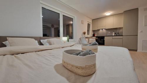 St. Gallen Apartment | Queensize-Bett, Arbeitsplatz, gratis Parkplatz