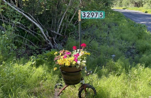 Bear Creek House | Quiet 2 Bedroom House