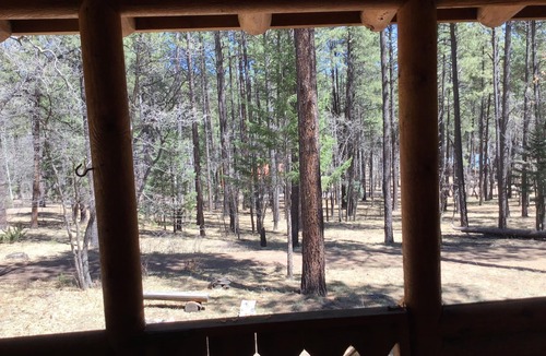 Alpine Cabin | Quiet 3 Br/2 Bath Cabin on 1 Acre, in the Pines and Aspens with US forest access