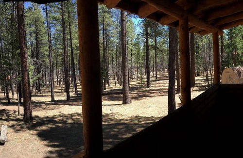Alpine Cabin | Quiet 3 Br/2 Bath Cabin on 1 Acre, in the Pines and Aspens with US forest access