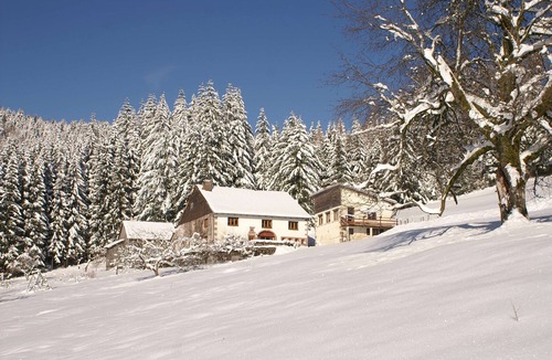 Cleurie Ski Chalet | Quiet 3 * gîte on the edge of the forest, overlooking the Moselotte valley