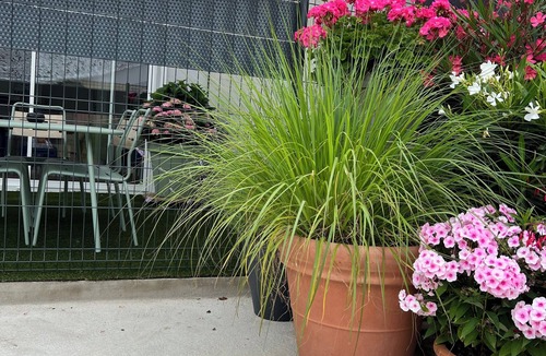 Pontailler-sur-Saone House | Quiet and comfortable 3* at N°7