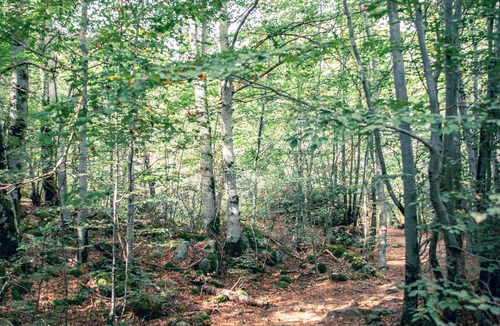 Valpaja Apartment | Quiet apartment in the Gravone valley, Peri plain.