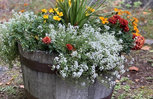 Orrington House | Quiet Beautiful Lakefront Home on Brewer Lake