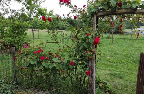 Saint-Cirgues-la-Loutre House | Quiet countryside vacation