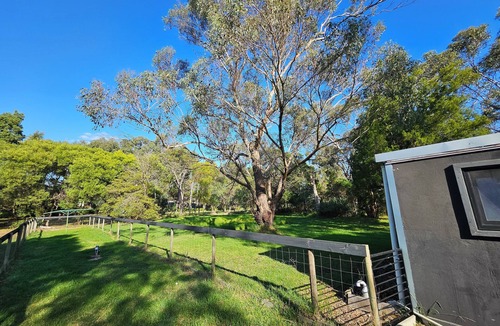 Pearcedale Cabin | Quiet Cabin in the Forest
