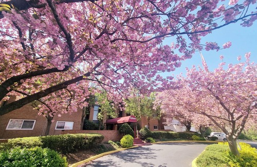 Elkins Park Apartment | Quiet, Comfortable Safe Monthly Discount