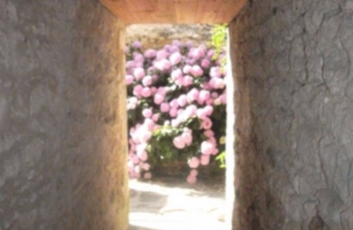 Chire-en-Montreuil House | Quiet, comfortable room in charming surroundings