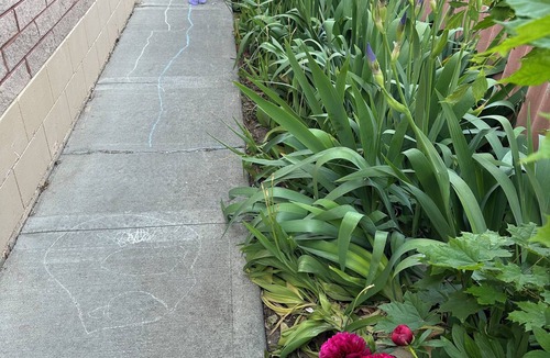 Idaho Falls House | Quiet Comfort- Adventures Start Here!