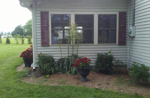 Versailles Cottage | Quiet, Comfortable Cottage